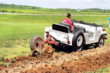 Jeeps on the Farm Image